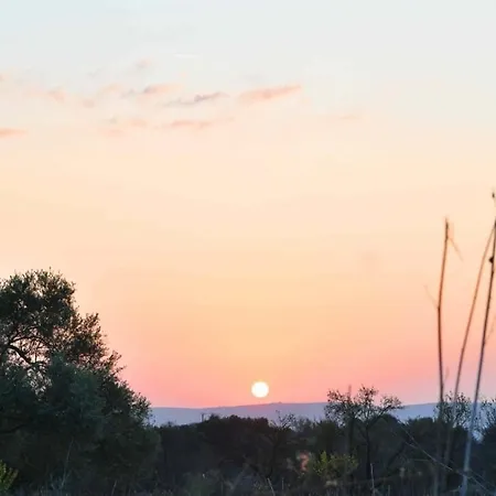 فيلة Lasa Black Rock