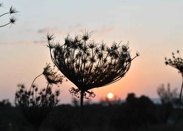 Lasa Black Rock * Paphos